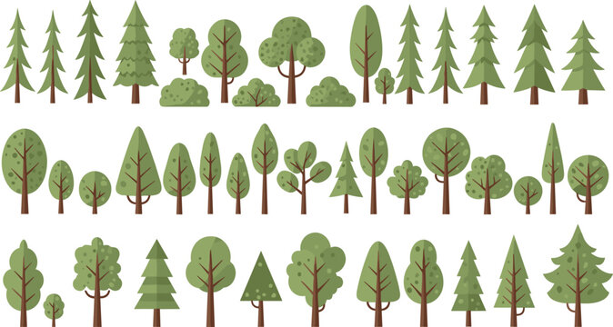 Forest trees collection with pine and deciduous cartoon plants, green woodland nature vector set isolated on white background