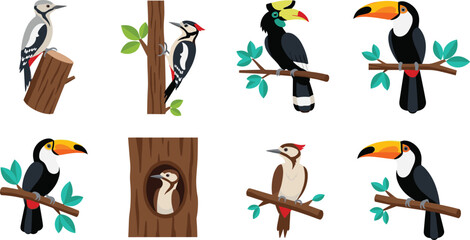 Exotic forest birds vector illustration set featuring colorful toucans hornbill and woodpeckers perched on tree branches © Lipon