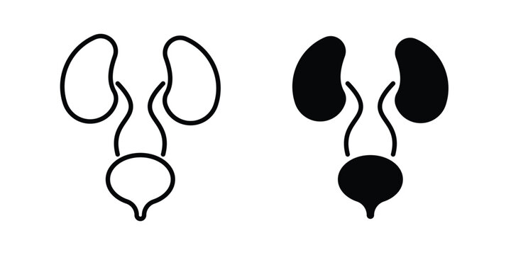 Urinary System icon illustration simple design elements