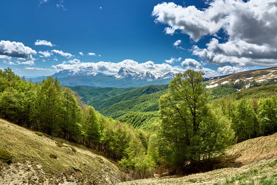 Primavera sui Monti della Laga: il Fosso della Cavata e i Faggi Torti
