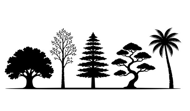 Minimal tree silhouette vector set with oak birch cedar bonsai and palm botanical icons