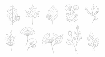 Naklejka premium Collection of various autumn leaves and branches in a minimalist line art style.