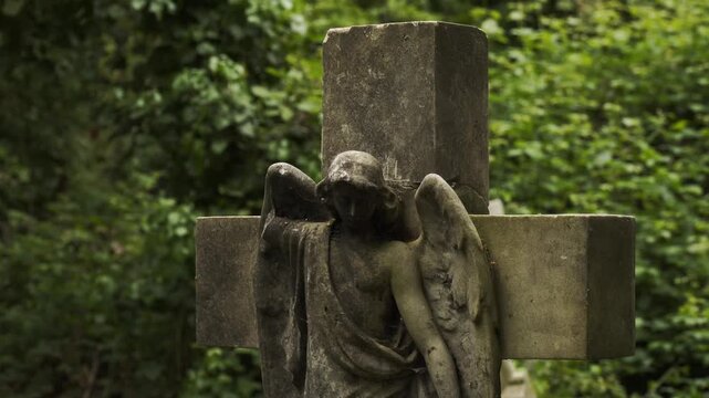 Footage capturing a historic cemetery in London, England surrounded by dense forest vegetation and aged stone ruins. The scene features old gravestones, overgrown pathways, and atmospheric woodland su