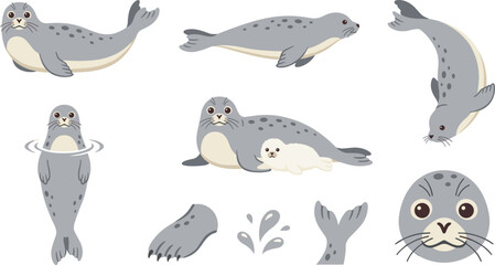 Cute Seal Vector Illustration Collection Featuring Marine Mammal Characters, Baby Seal Cubs, Ocean Wildlife Elements, and Arctic Nature Animal Designs © MdNazmul