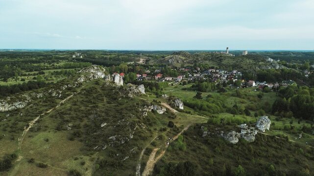 Cliffside trail through green forest landscape