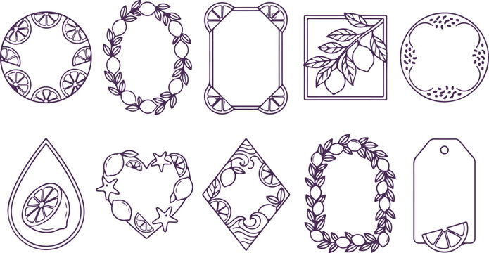 Citrus fruit frames and borders, lemons and limes, decorative and elegant design elements.