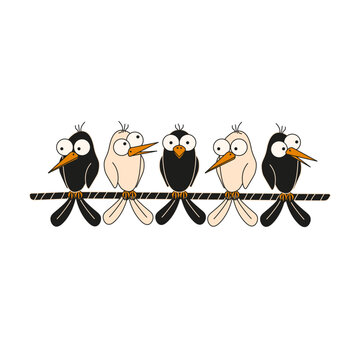 Funny Birds on the rope. Vector Sparrows chirp on the wire isolated transparent backgorund. Hand drawn nursery art with black and white Birds. EPS 10