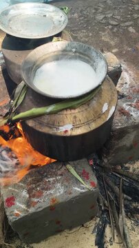 Traditional Pongal festival celebration in south India, Tamilnadu