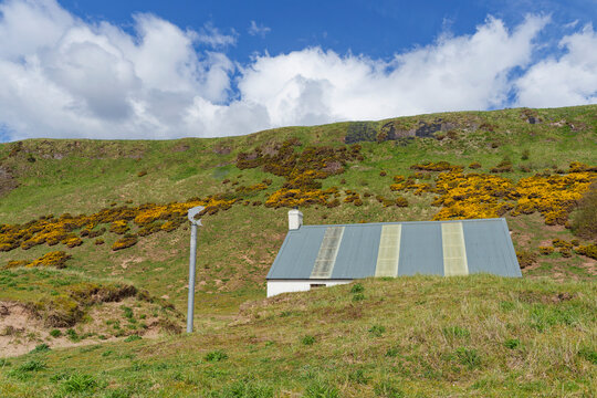 A new Salmon sculpture on a metal pole beside one of the Salmon Bothys with a new roof beneath the cliffs of St Cyrus Beach
