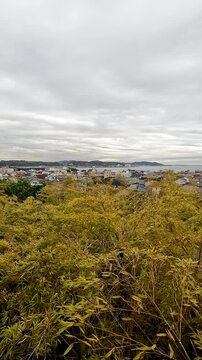 City View point of Hase-dera, commonly called the Hase-kannon, is one of the Buddhist temples in the city of Kamakura in Kanagawa Prefecture, Japan, famous for housing a massive wooden statue of Jūich