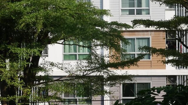 Modern apartment building facade with terracotta panels and large windows partially framed by lush green tropical tree canopy