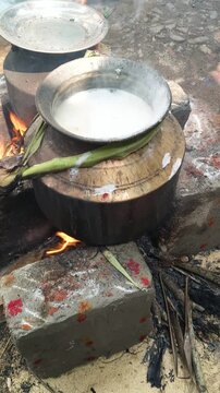 Traditional Pongal festival in rural south India, Tamilnadu