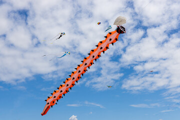 Cerf-volant © Jean-Paul Comparin