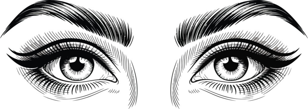 Eyes, Female Eyes, Eyelashes, Eyebrows, Vector Illustration, Black and White, Eye Makeup, Beauty, Cosmetics