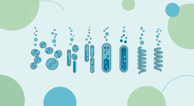 Diverse Bacteria Shapes and Forms: Cocci, Bacilli, Spirilla, and Vibrio Microorganisms