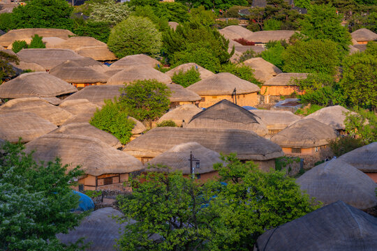 High angle view of traditional Korean thatched houses clustered together at Nagan Eupseong Folk Village in Suncheon, South Korea. Historic hanok village with unique straw roofs.