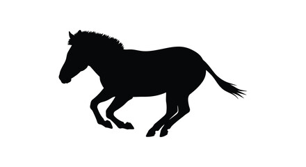Fototapeta premium Horse silhouette in motion against a white background silhouette