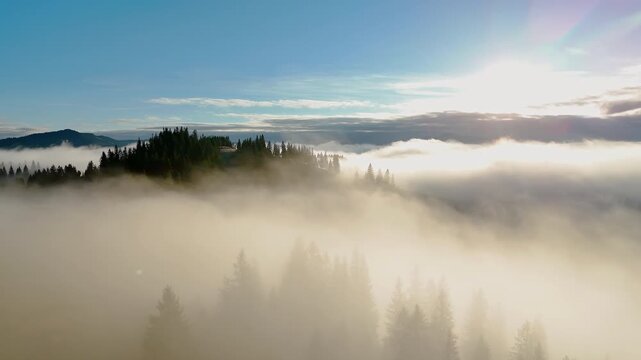 Carpathian Mountain Ridge Floating Above Morning Fog, cinematic aerial video frame with pine forest, soft sunlight and blue sky