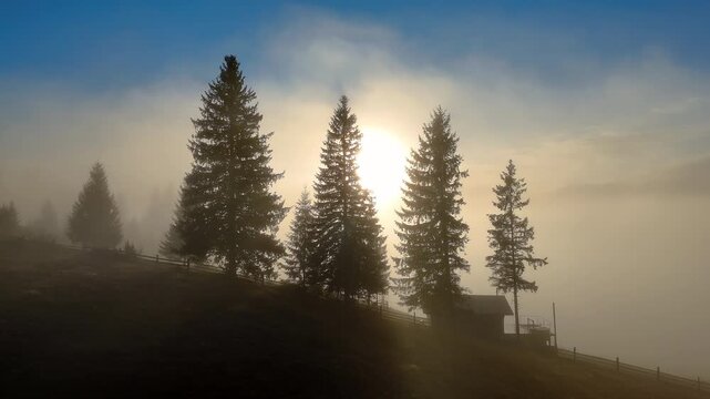 Sunrise Through Spruce Trees In Foggy Carpathian Mountains, atmospheric video frame with silhouettes, mist and quiet hillside