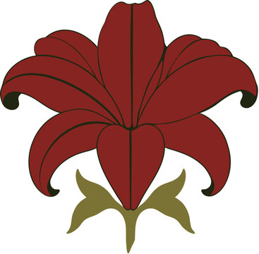 red flower isolated on white background