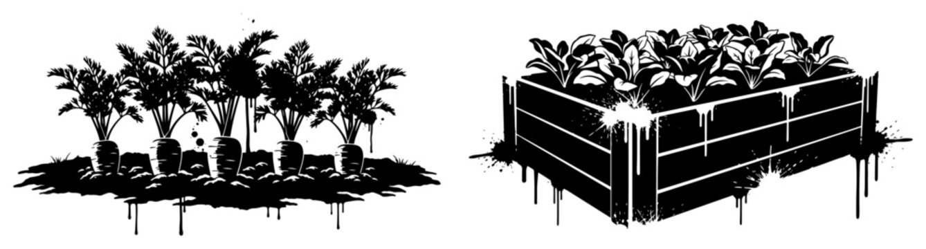 Garden beds with growing carrots and crops in distressed ink drip style
