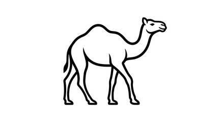 Fototapeta premium Line art camel illustration