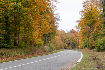 Fototapeta premium During autumn, an asphalt track with a guardrail runs through nature between the trees.