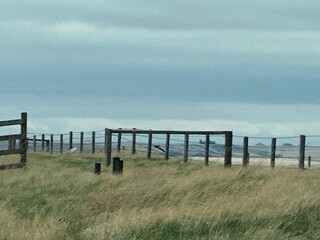 Wire farm fence and fence posts across open grazing land in rural agricultural environment © Berta