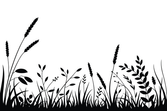Black and white silhouette of tall grass and wild plants against plain background