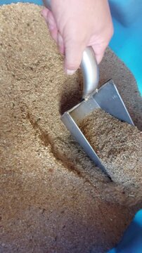 Man scooping dry animal feed or ground grain with a metal scoop close-up