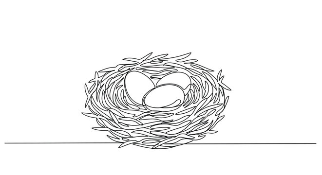 Bird nest with eggs on a branch