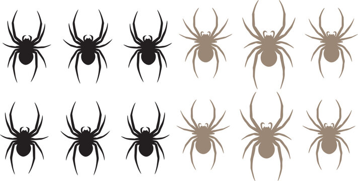 Three black spider silhouettes on a white background for halloween or arachnid themes