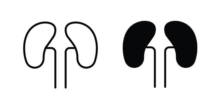 Kidney icon