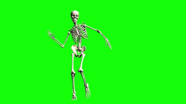 Dancing human skeleton on green screen