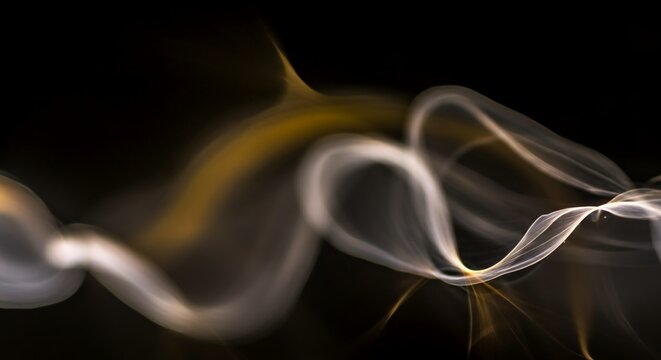 Ultra-wide angle abstract shot of overlapping translucent fungal mycelium threads.