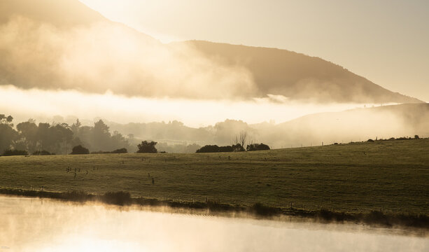 morning fog hugging farmland, Stanford, South Africa