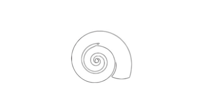 Minimalist Snail Shell Spiral Outline Drawing on White Background