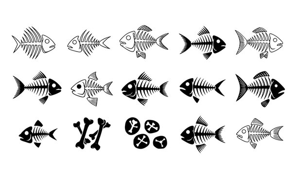 Fish Bone Skeleton and Seafood Outline Vector Illustration Set