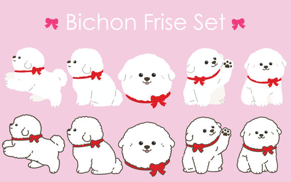 Simple and adorable white Bichon Frise illustrations set with red ribbons