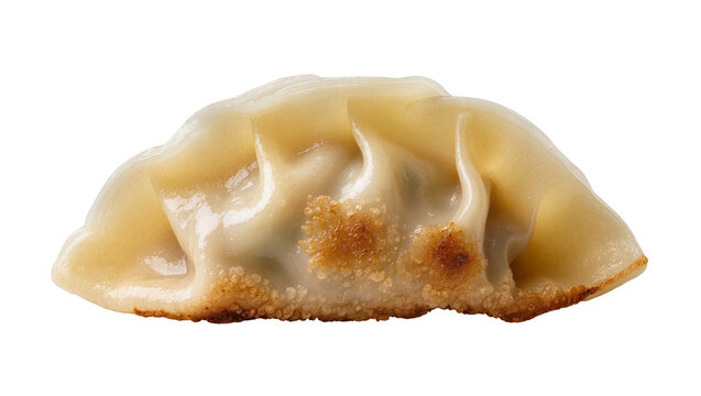 Golden pan-fried gyoza dumpling with crispy bottom, isolated on transparent background