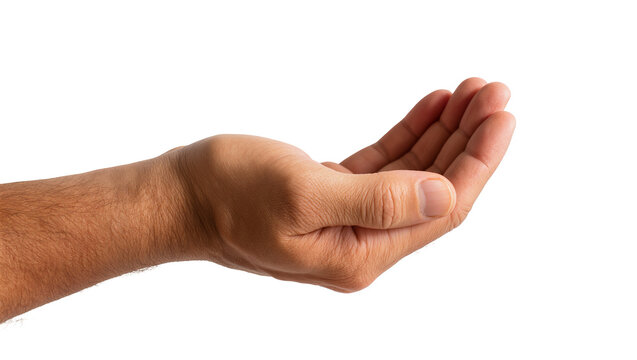 Human male hand cupped open offering or receiving something, isolated on transparent background