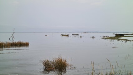 Arcachon et le sud du Bassin vus depuis les prés salés de Claouey un jour de mer d'huile (presqu'île du Cap Ferret)  © Arnaud