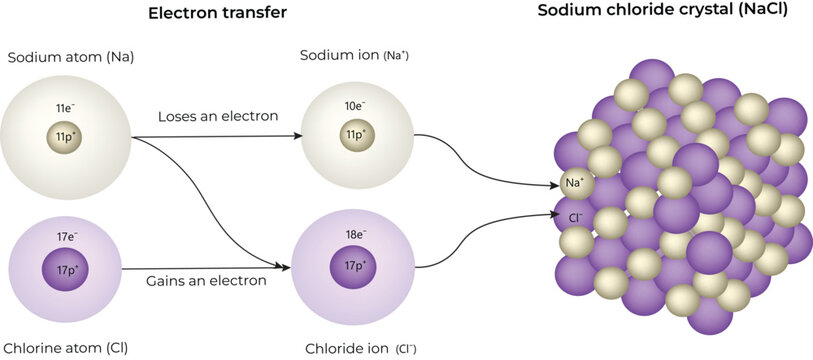 Sodium Chloride Crystal Formation Diagram Design Vector Illustration