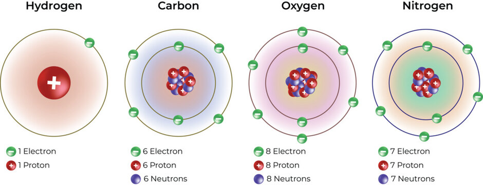 Atomic Structure of Hydrogen, Carbon, Oxygen and Nitrogen Elements Design Vector Illustration