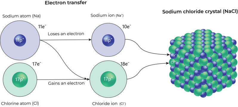 Electron Transfer in Sodium Chloride Formation Design Vector Illustration