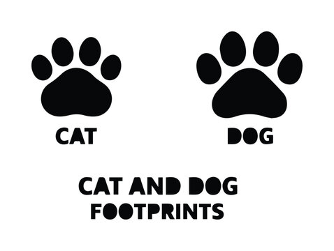 Cat and dog footprints vector icons, black pet paw prints with labels, animal track silhouettes for veterinary and pet shop branding
