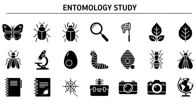 A comprehensive set of black and white icons illustrating various insects, tools, and elements associated with entomology and insect study.