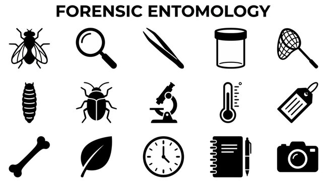 Black and white icons illustrating tools and subjects used in forensic entomology, including insects, lab equipment, and evidence collection items.