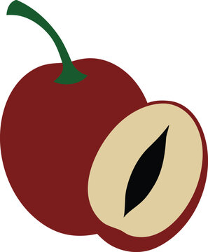 A red cherry and a cut half on a white background, isolated fruit vector.