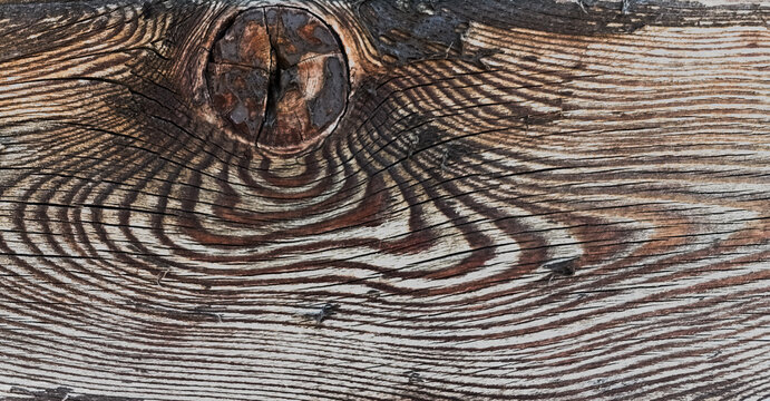 longitudinal section of wood with a knot and burnt surface.